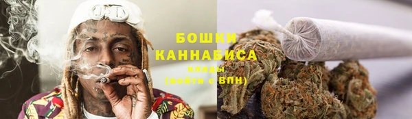 стаф Нефтегорск