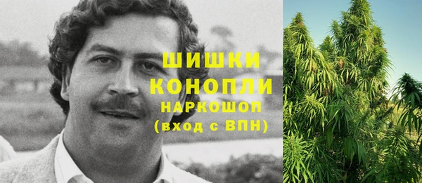 шишки Нефтекумск