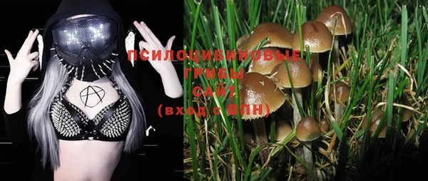 шишки Нефтекумск