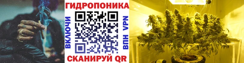 Конопля Bruce Banner  Приволжский 